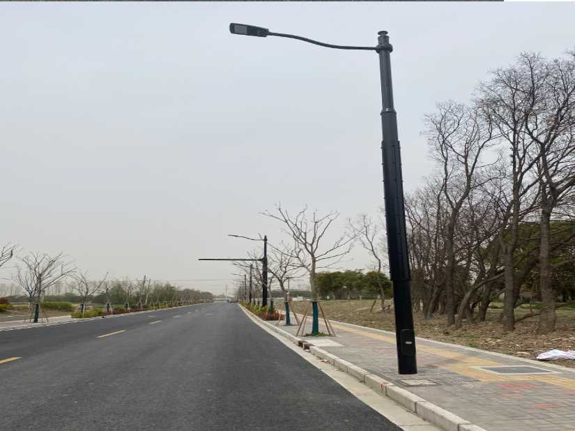 连州市上海综合杆 太阳能路灯工程